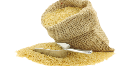 Rice-PNG-HD